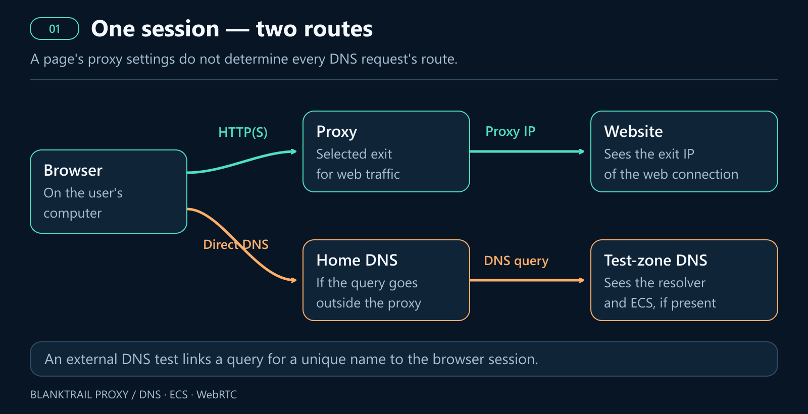 Web traffic and DNS taking different routes within a single session. This diagram illustrates a potential leak, not the results of a specific test.